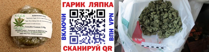 Cannafood марихуана  Дорогобуж 