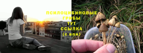 МДМА Богородск