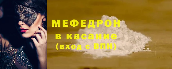 мдпв Богородицк