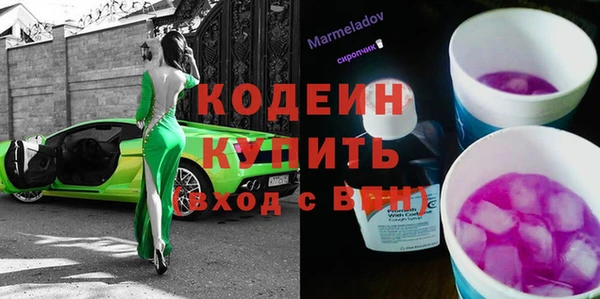 apvp Бородино