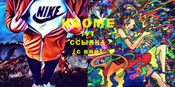 мдпв Богородицк
