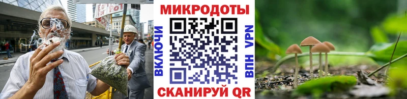 Псилоцибиновые грибы Psilocybe  Дорогобуж 